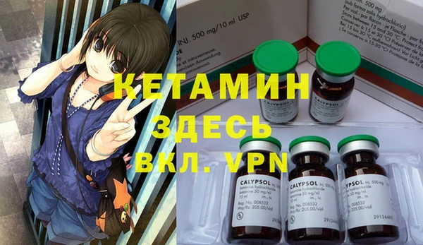 ГАЛЛЮЦИНОГЕННЫЕ ГРИБЫ Горно-Алтайск