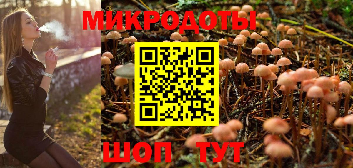 Тамбов  Псилоцибиновые грибы Psilocybine cubensis  Вход с VPN 